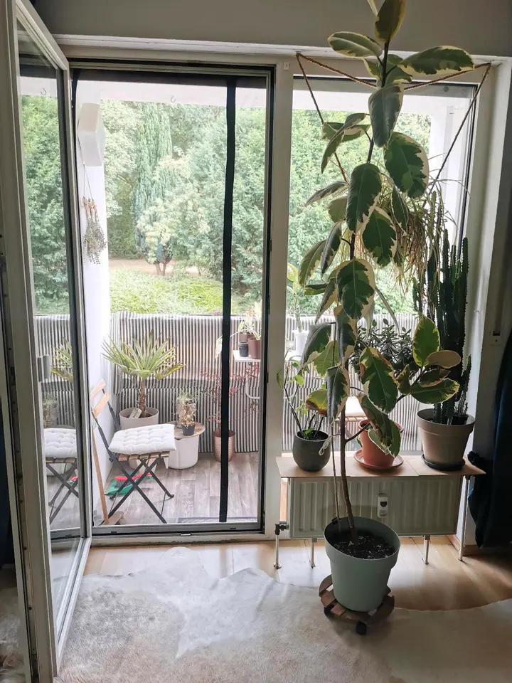 2 Zimmer Wohnung mit 56 m² in Bottrop – Bild 7