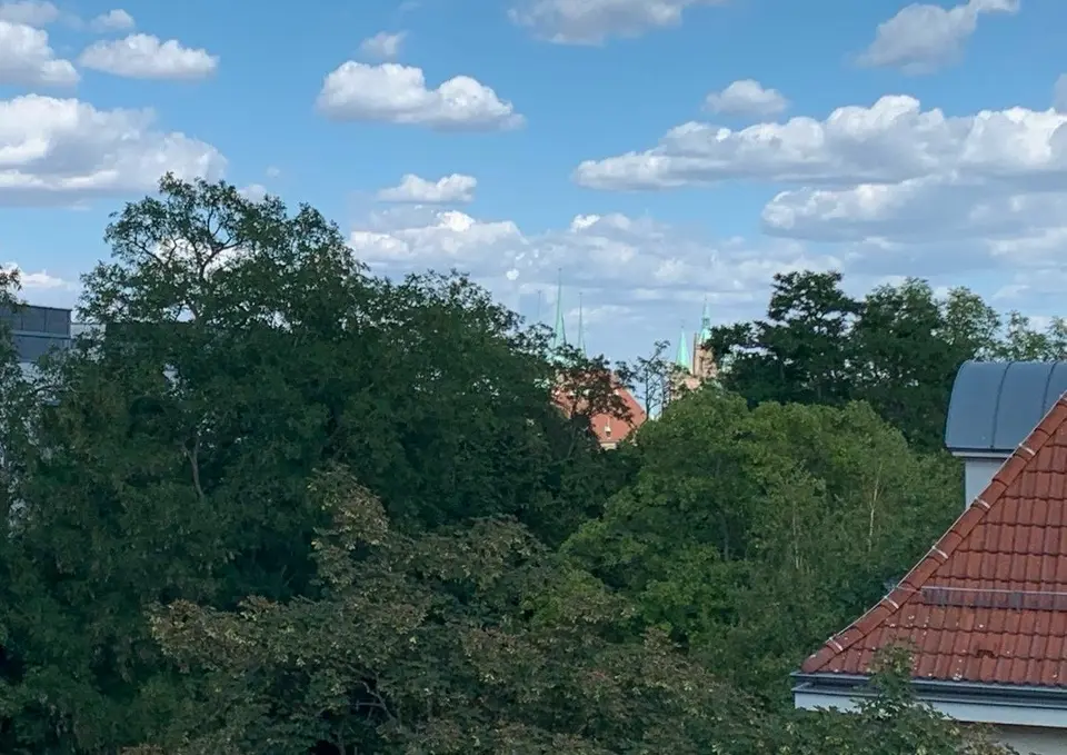 4 Zimmer Wohnung mit 119 m² in Erfurt – Bild 4