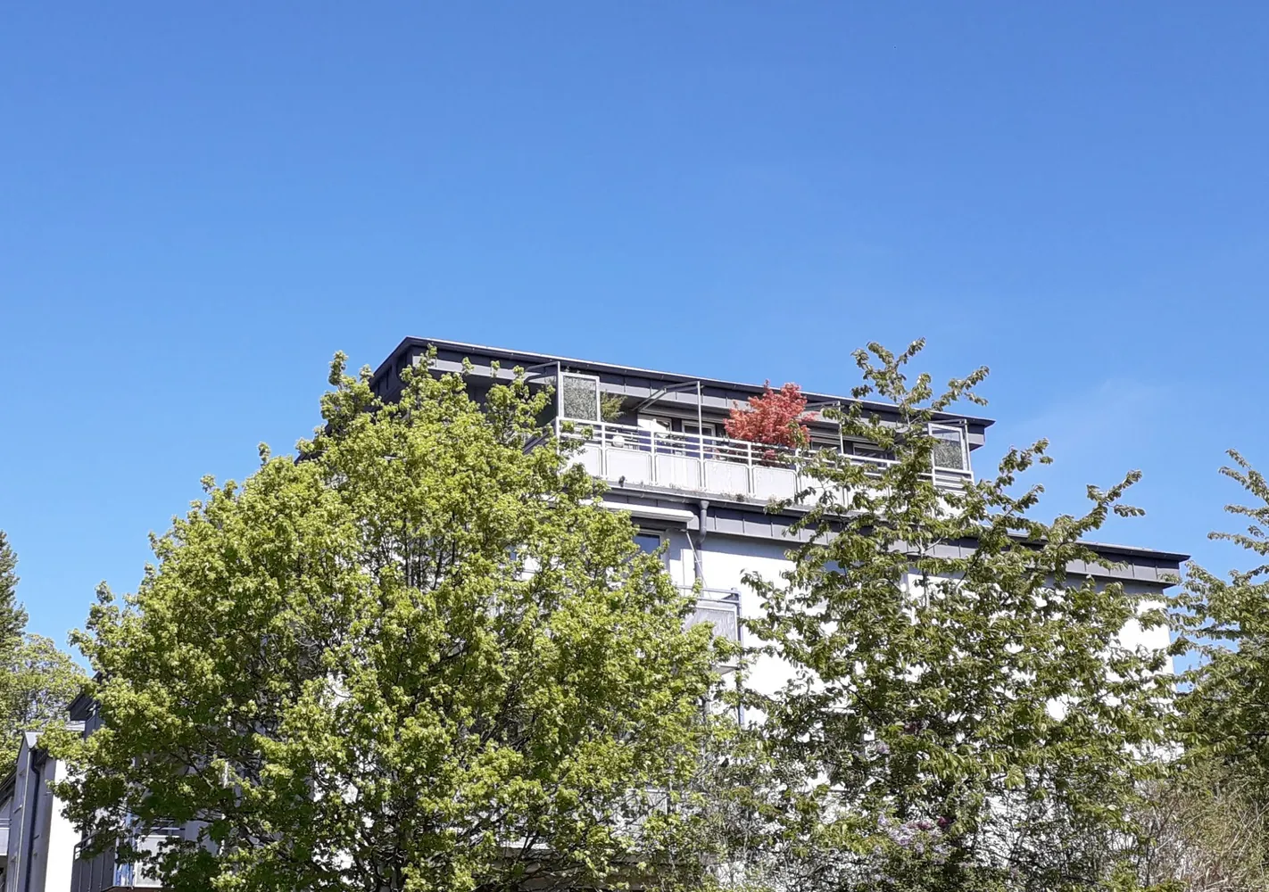 5 Zimmer Wohnung mit 136 m² in Kiel – Bild 1