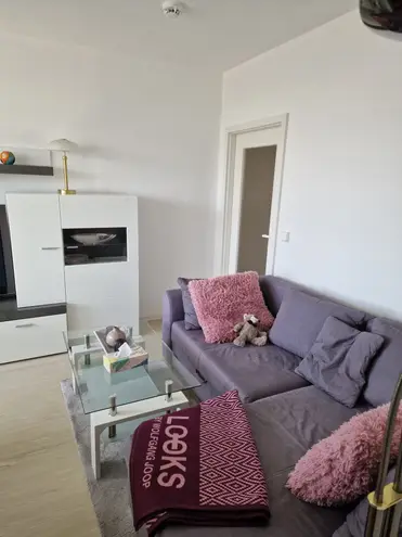 2 Zimmer Wohnung mit 42 m² in Dresden – Bild 6