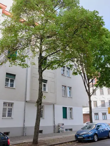 2 Zimmer Wohnung mit 68 m² in Leipzig – Bild 5