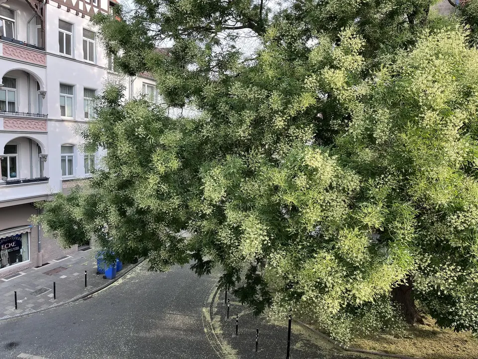 2 Zimmer Wohnung mit 39 m² in Hildesheim – Bild 3
