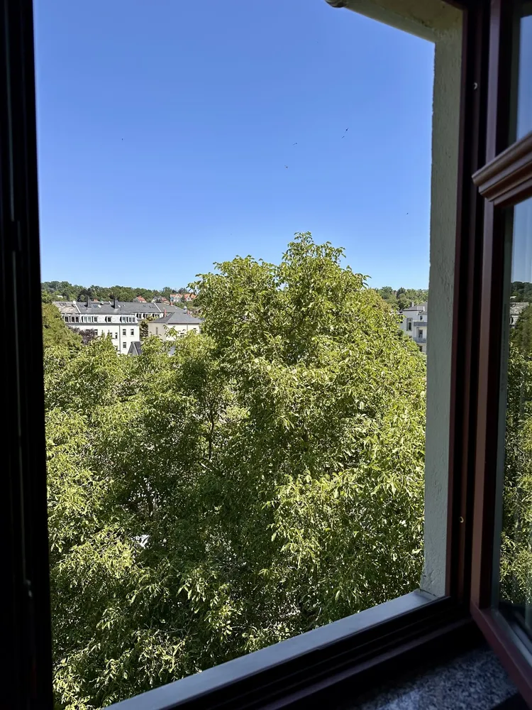 3 Zimmer Wohnung mit 70 m² in Dresden – Bild 4