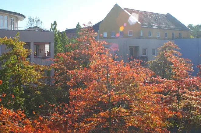 3 Zimmer Wohnung mit 69 m² in Potsdam – Bild 5
