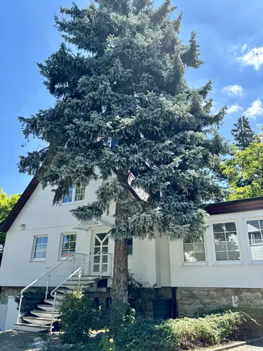 8 Zimmer Haus mit 220 m² in Dresden – Bild 3