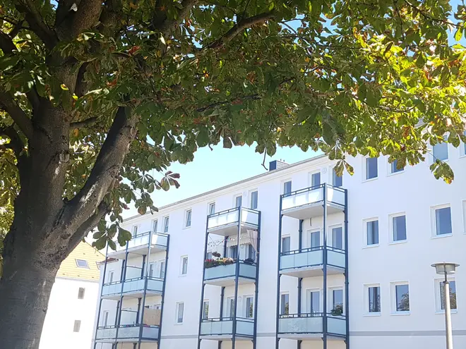4 Zimmer Wohnung mit 92 m² in Magdeburg – Bild 10