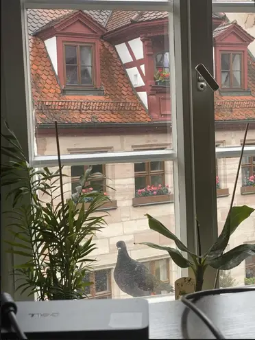 3 Zimmer Wohnung mit 110 m² in Nürnberg – Bild 3