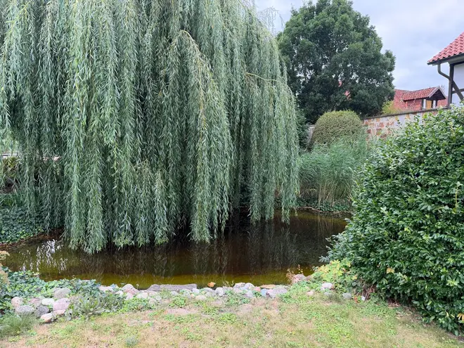 5 Zimmer Haus mit 350 m² in Hildesheim – Bild 5