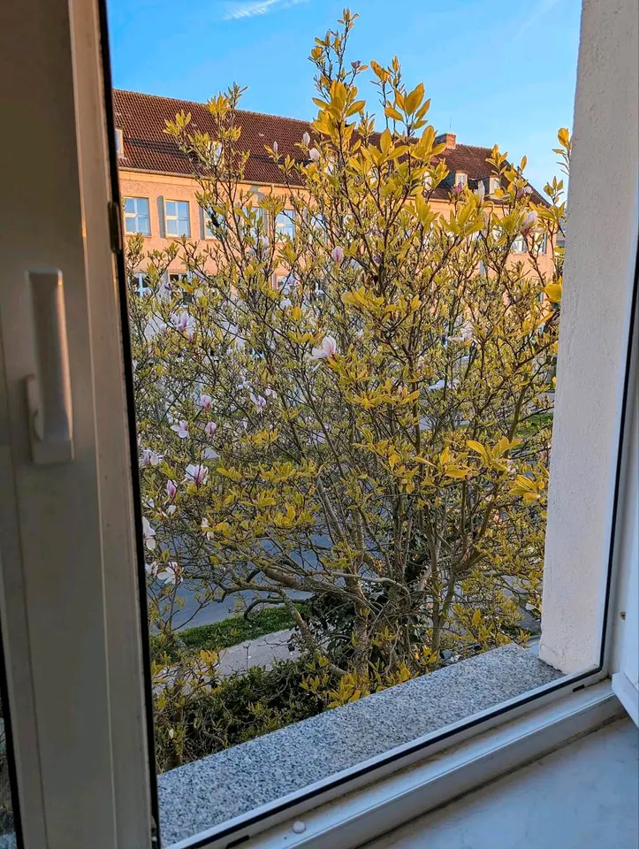 3 Zimmer Wohnung mit 69 m² in Greifswald – Bild 9