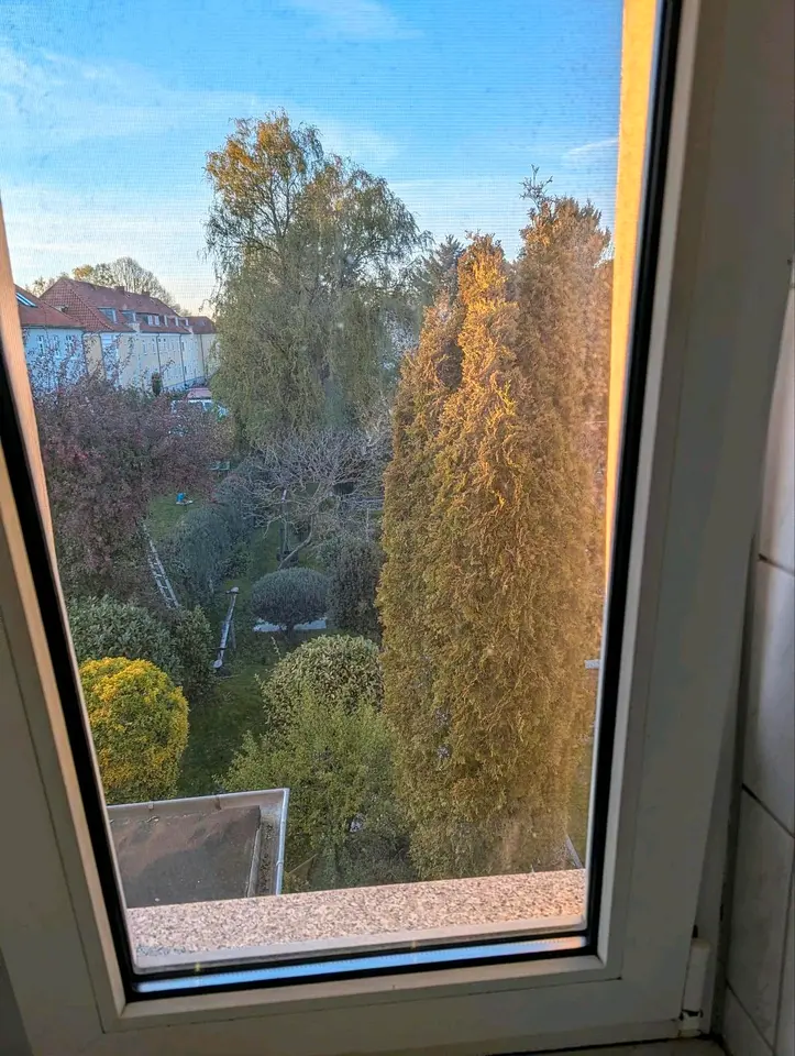 3 Zimmer Wohnung mit 69 m² in Greifswald – Bild 10