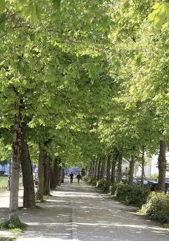 3 Zimmer Wohnung mit 65 m² in Bonn – Bild 2