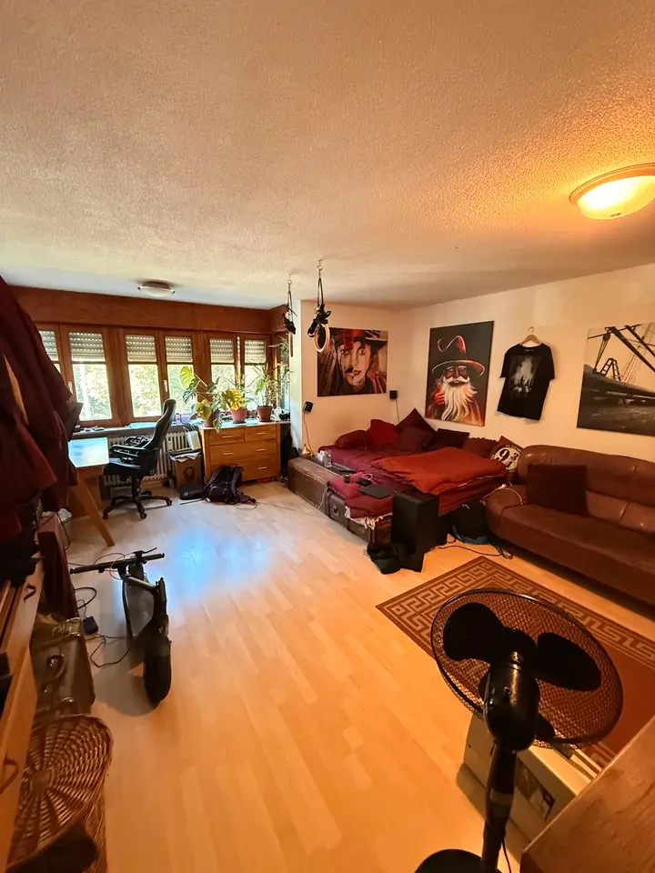 Studio mit 33 m² in Freiburg im Breisgau – Bild 1