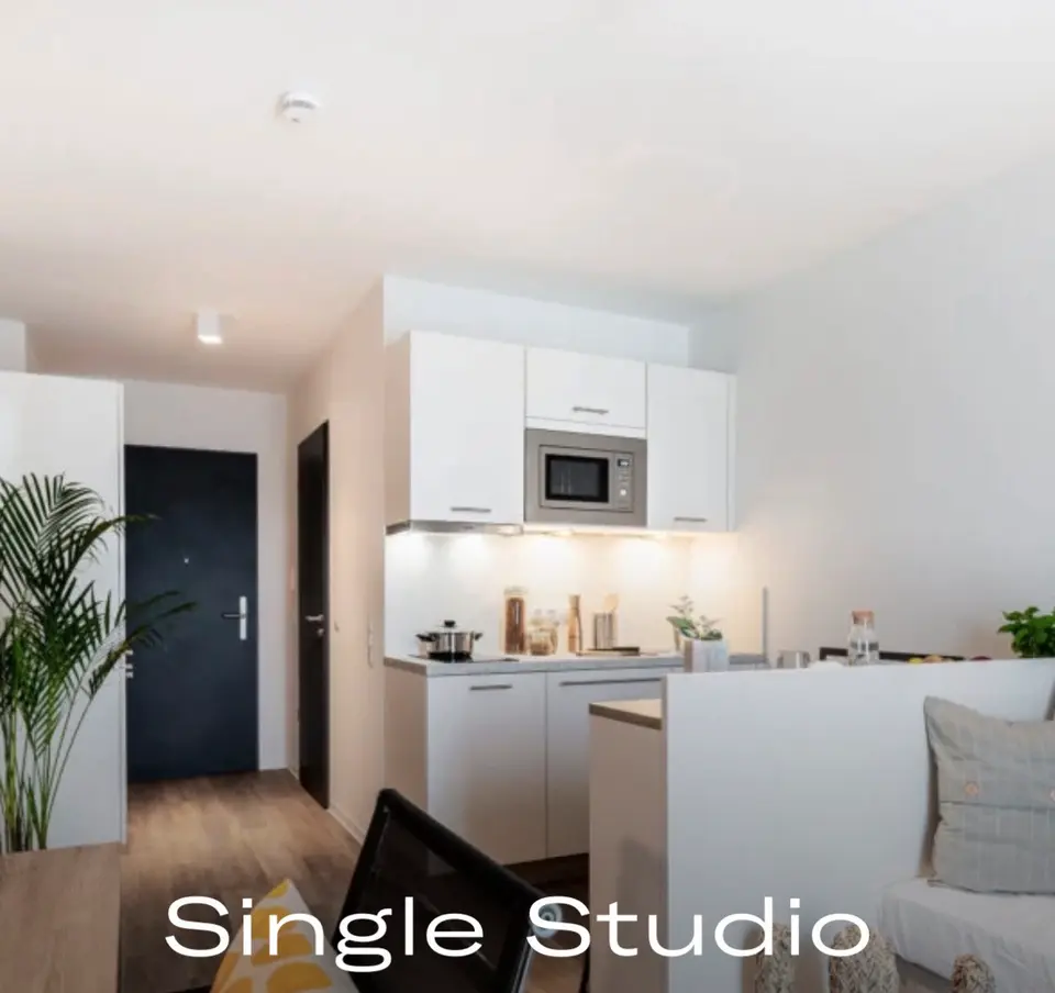 Studio mit 33 m² in Freiburg im Breisgau – Bild 4