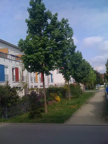4 Zimmer Haus mit 125 m² in Darmstadt – Bild 3