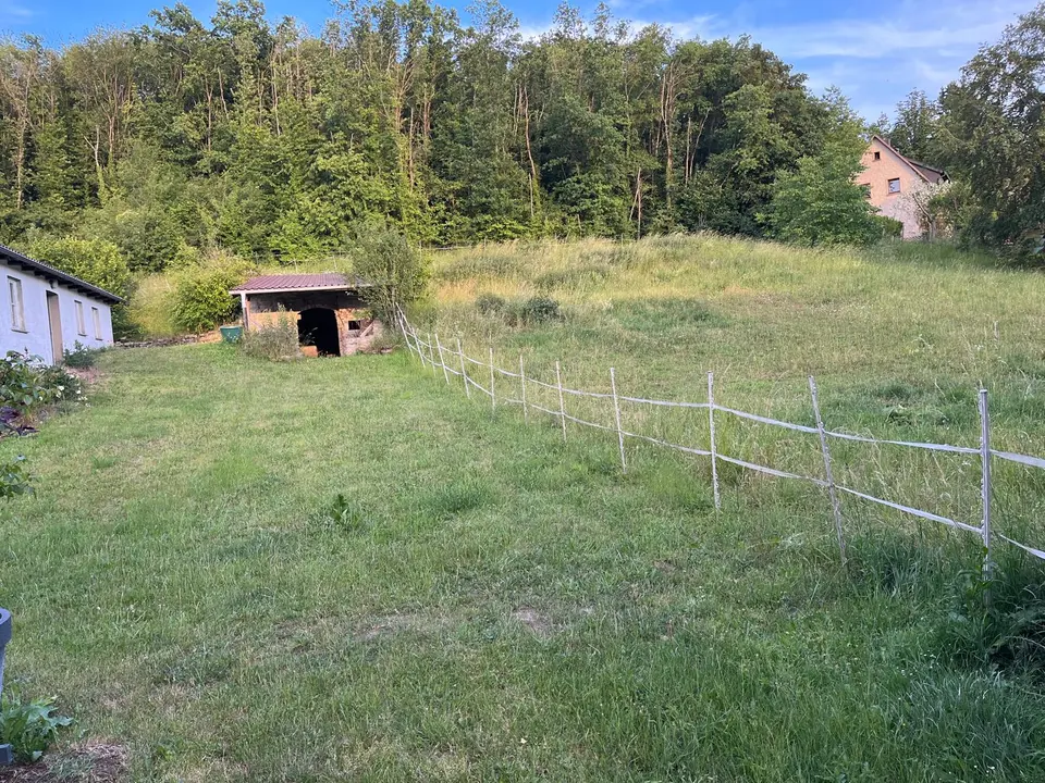 2 Zimmer Haus mit 70 m² in Würzburg – Bild 3