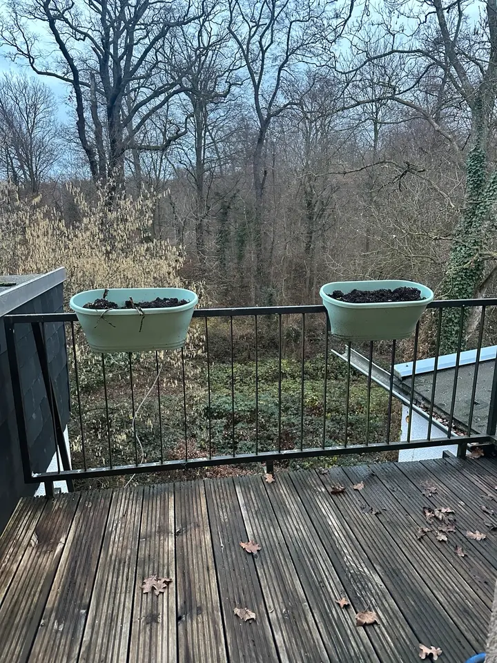 2 Zimmer Wohnung mit 50 m² in Brühl – Bild 4