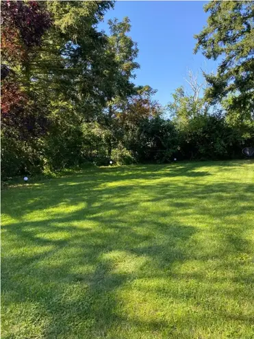 9 Zimmer Haus mit 250 m² in Karlsruhe – Bild 3