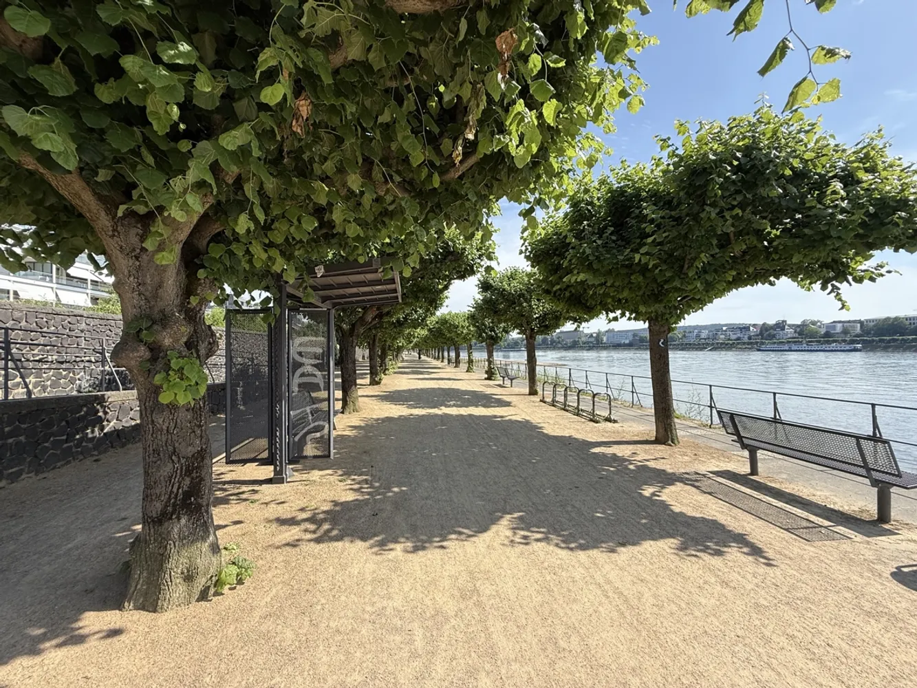 4 Zimmer Wohnung mit 156 m² in Bonn – Bild 5