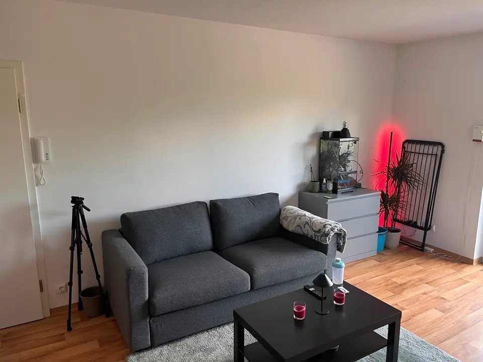Studio mit 30 m² in Michelstadt – Bild 7