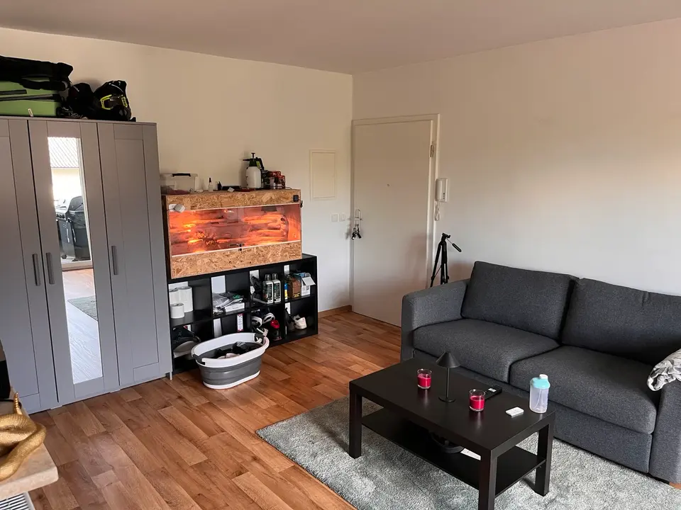Studio mit 30 m² in Michelstadt – Bild 8