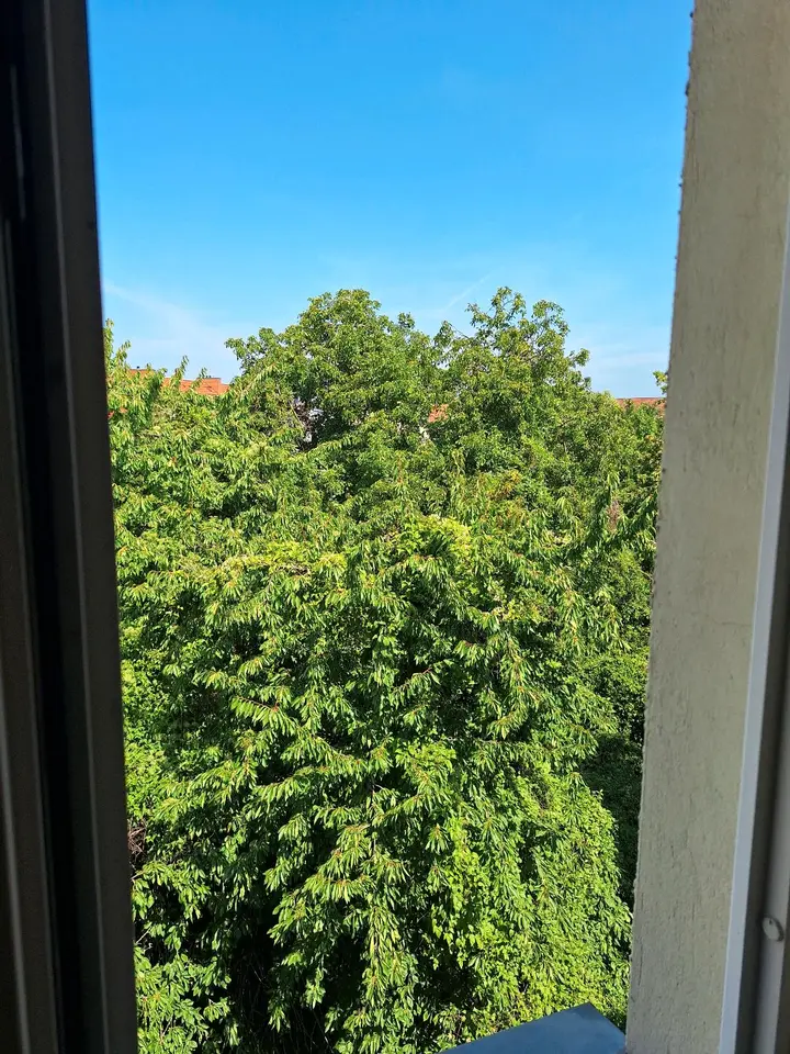 WG-Zimmer mit 22 m² in Magdeburg – Bild 9