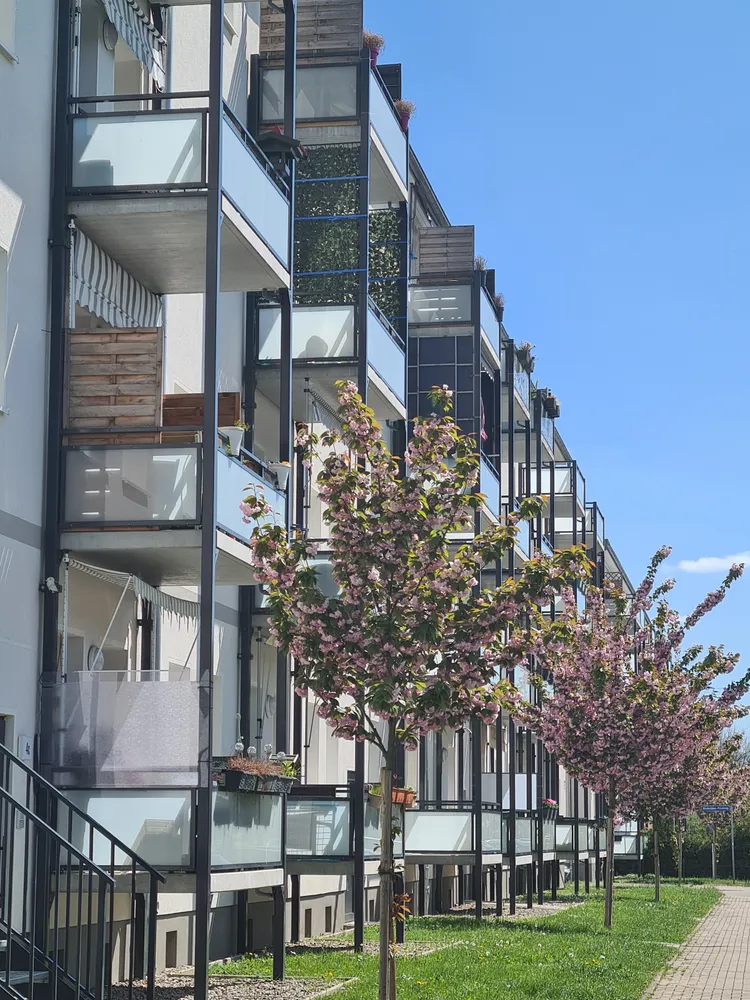 5 Zimmer Wohnung mit 116 m² in Magdeburg – Bild 12