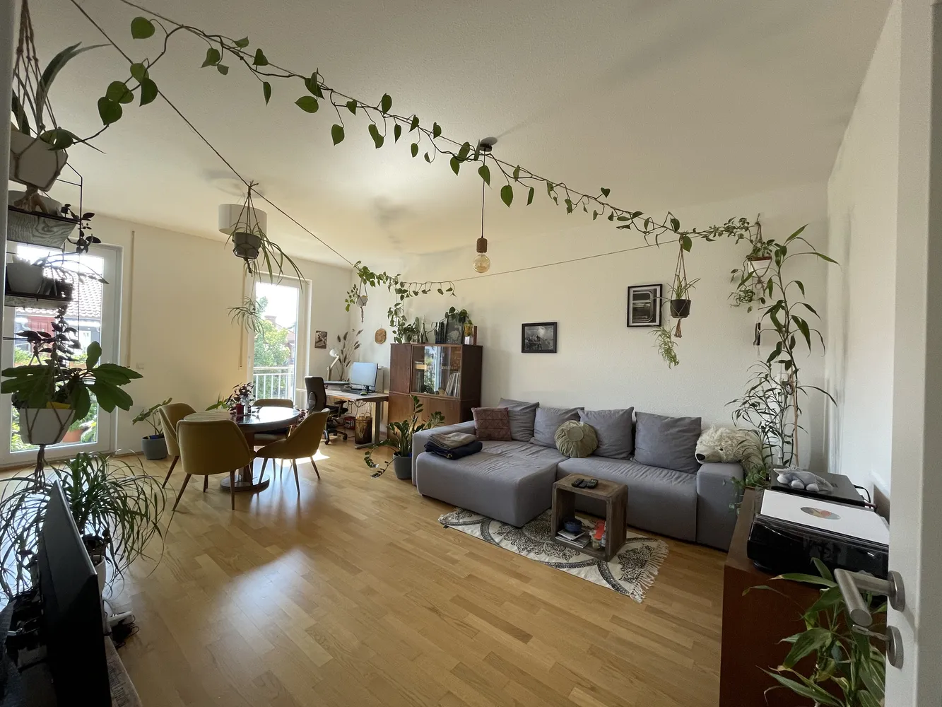 2 Zimmer Wohnung mit 66 m² in Dresden – Bild 1