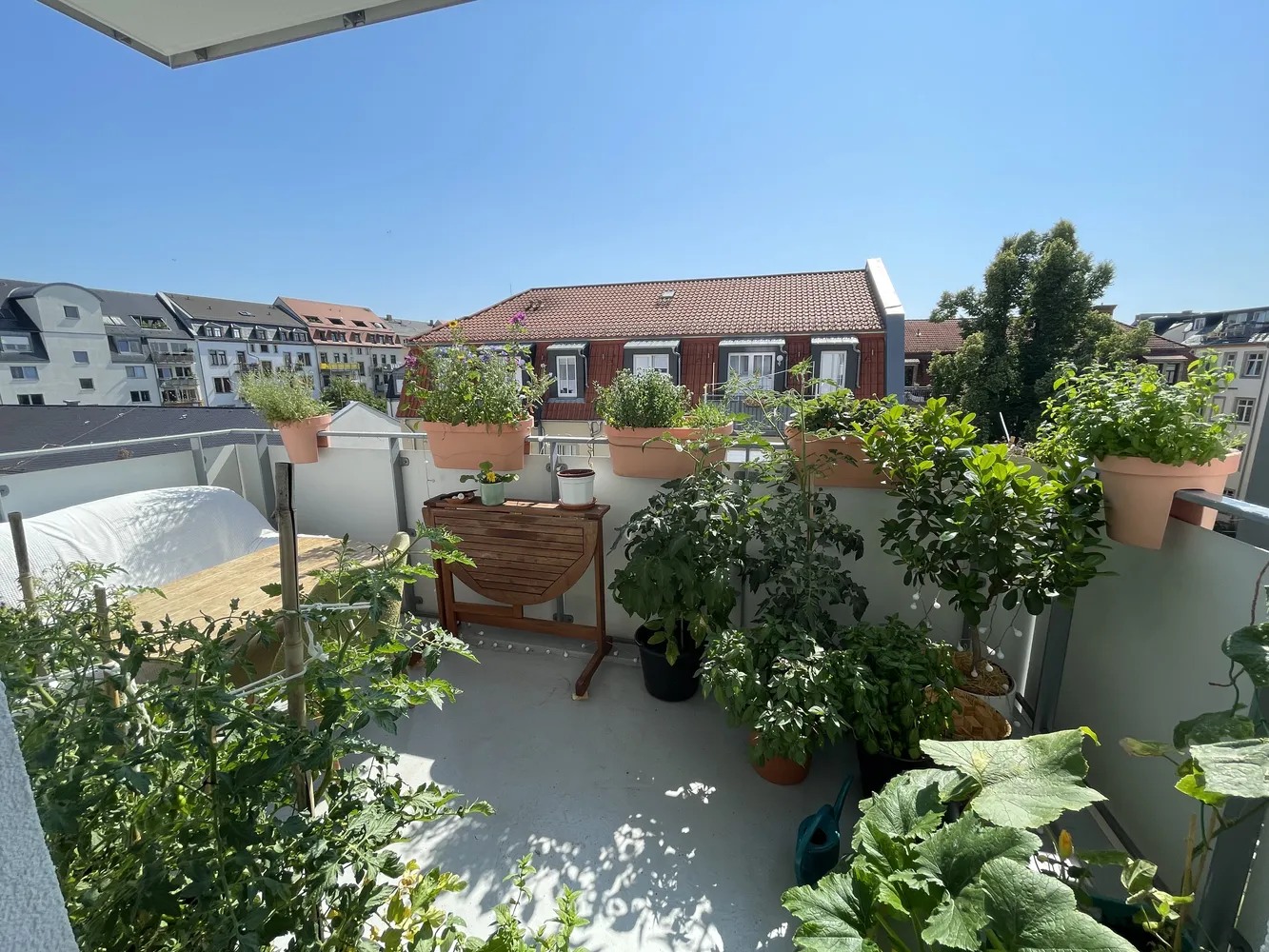 2 Zimmer Wohnung mit 66 m² in Dresden – Bild 2