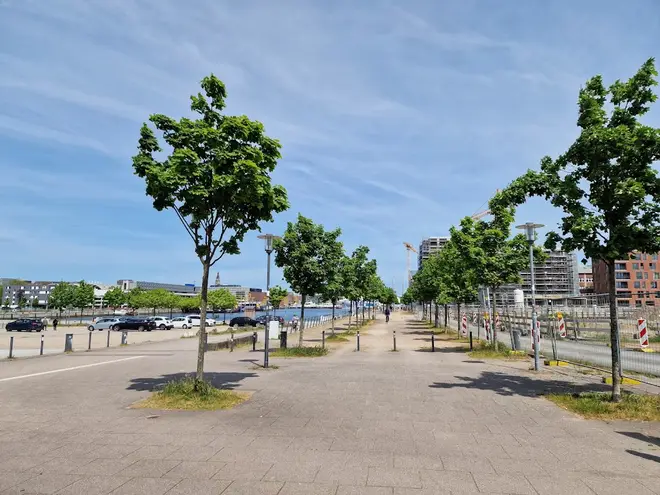2 Zimmer Wohnung mit 47 m² in Kiel – Bild 8
