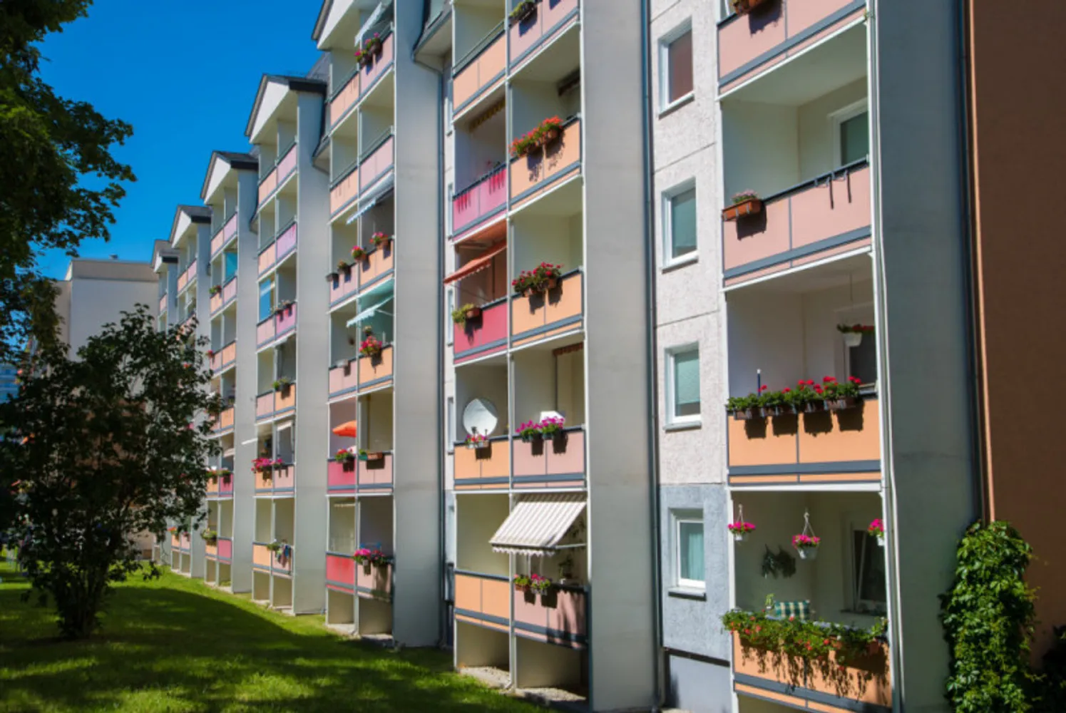 3 Zimmer Wohnung mit 55 m² in Freiberg – Bild 4