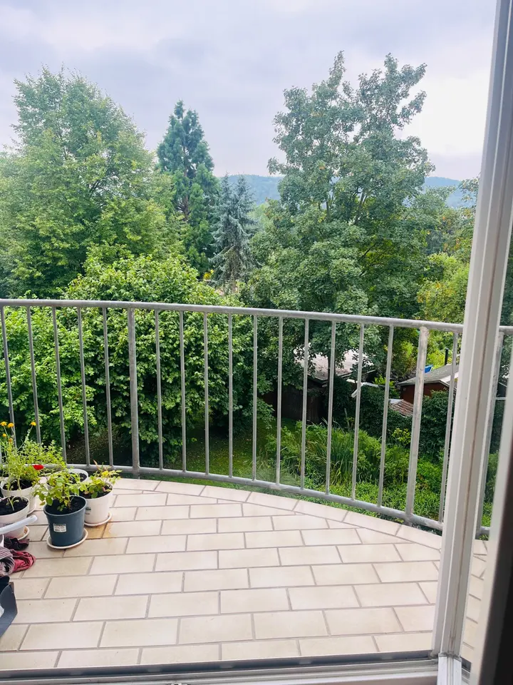 2 Zimmer Wohnung mit 38 m² in Jena – Bild 6