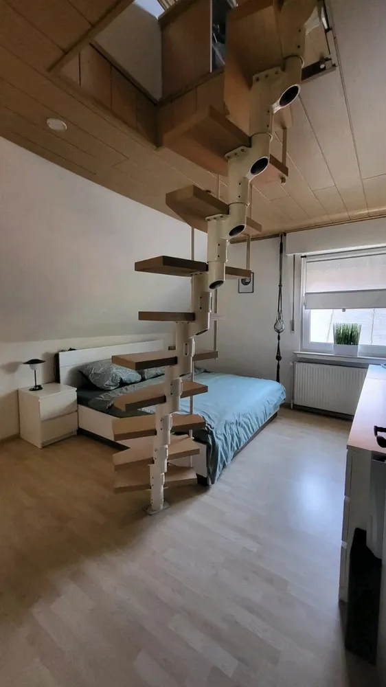 3 Zimmer Wohnung mit 86 m² in Osnabrück – Bild 9