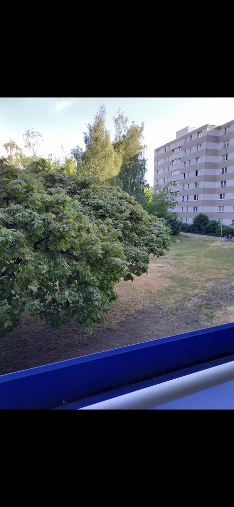 1 Zimmer Wohnung mit 25 m² in Berlin – Bild 4