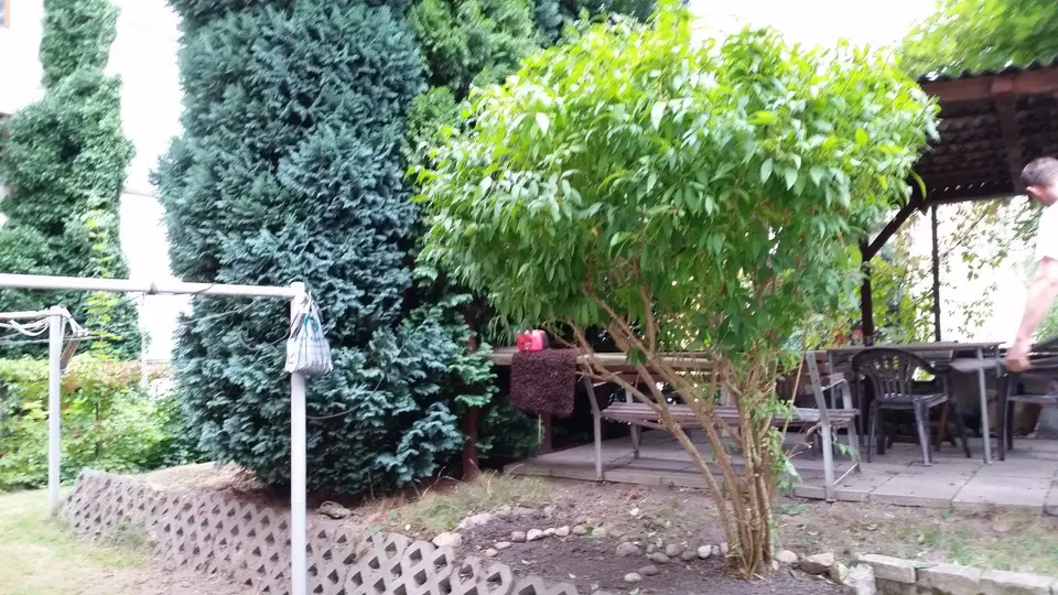 2 Zimmer Wohnung mit 47 m² in Görlitz – Bild 3