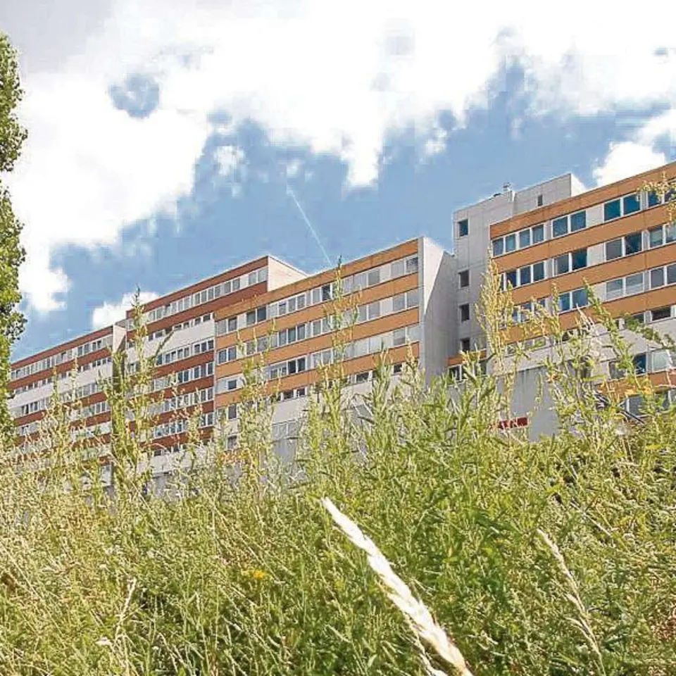 2 Zimmer Wohnung mit 66 m² in Rodgau – Bild 4