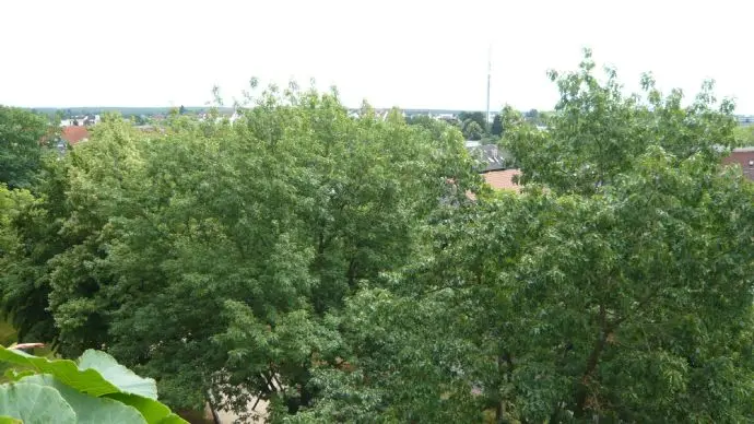 2 Zimmer Wohnung mit 66 m² in Rodgau – Bild 5