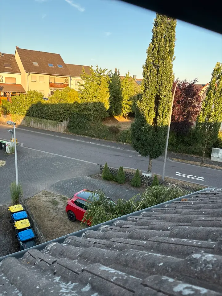 Studio mit 30 m² in Saarbrücken – Bild 6