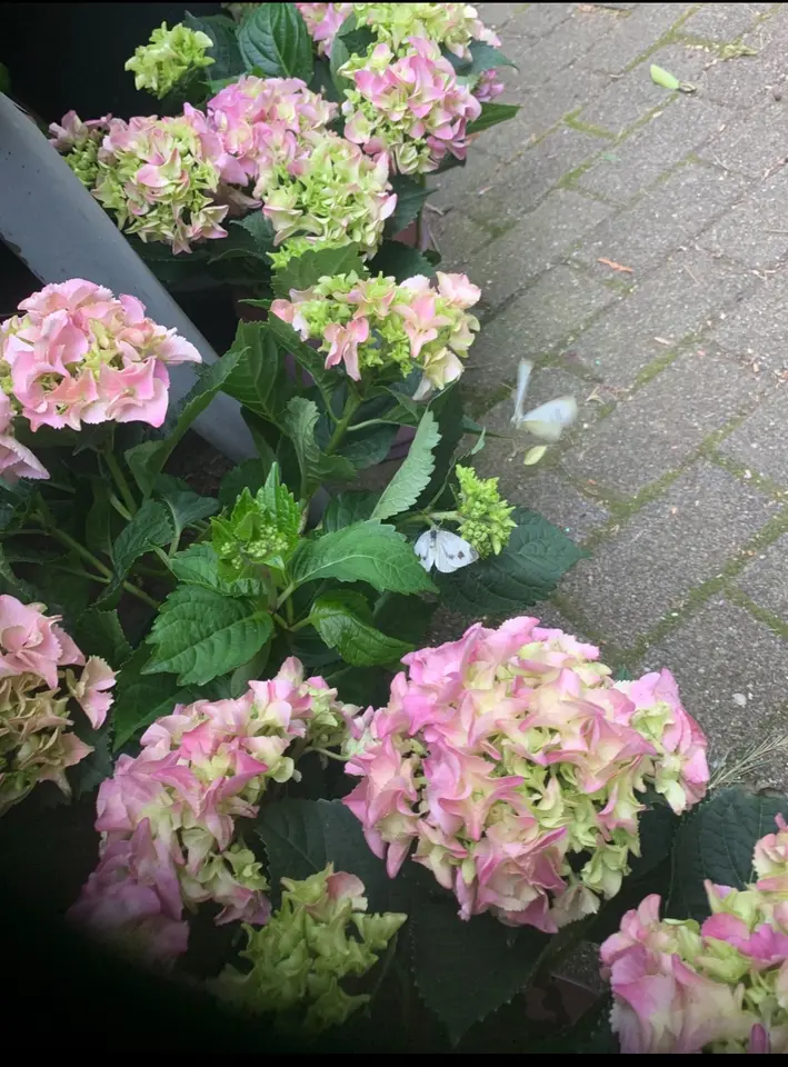 2 Zimmer Wohnung mit 42 m² in Heilbronn – Bild 9