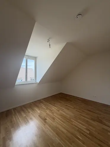 4 Zimmer Wohnung mit 132 m² in Dresden – Bild 5
