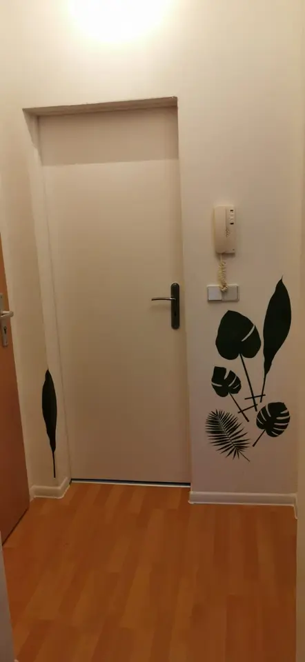 WG-Zimmer mit 43 m² in Frankfurt (Oder) – Bild 5