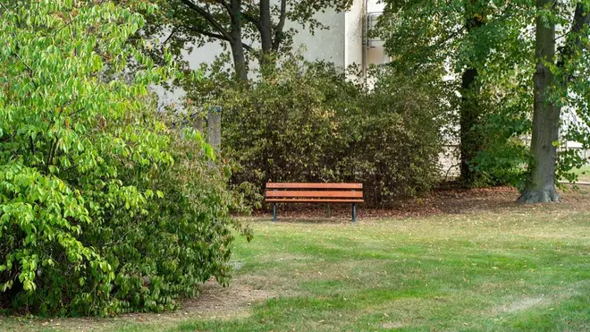 3 Zimmer Wohnung mit 66 m² in Leipzig – Bild 2