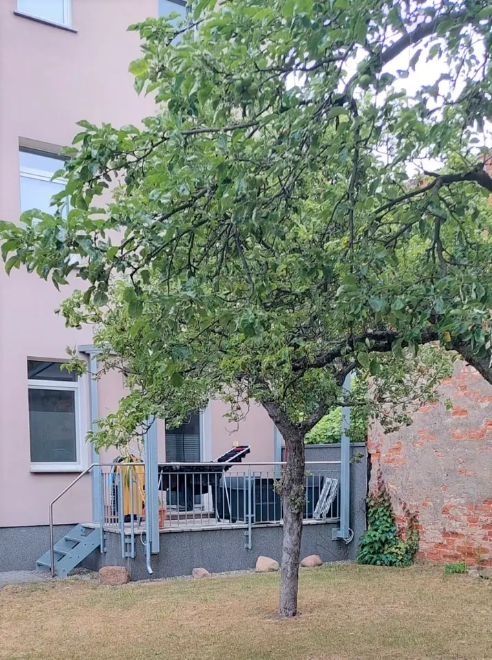 2 Zimmer Wohnung mit 50 m² in Cottbus – Bild 2