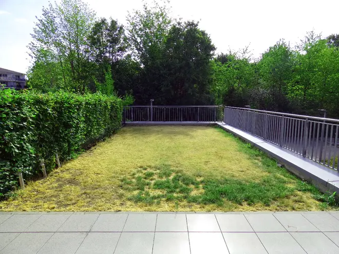 3 Zimmer Wohnung mit 101 m² in Leverkusen – Bild 9