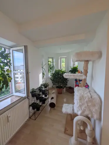 3 Zimmer Wohnung mit 100 m² in Ingolstadt – Bild 8