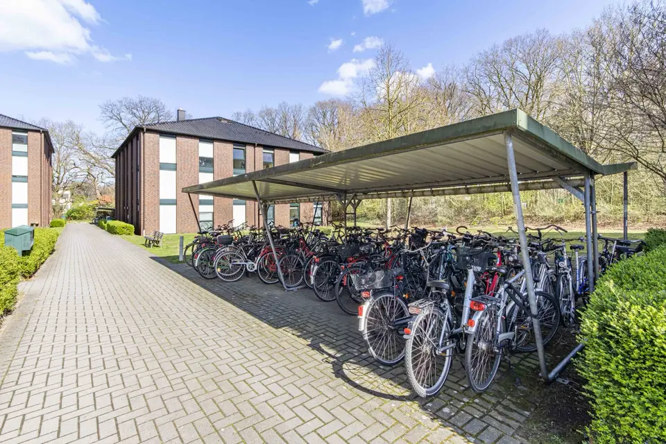 3 Zimmer Wohnung mit 69 m² in Vechta – Bild 3