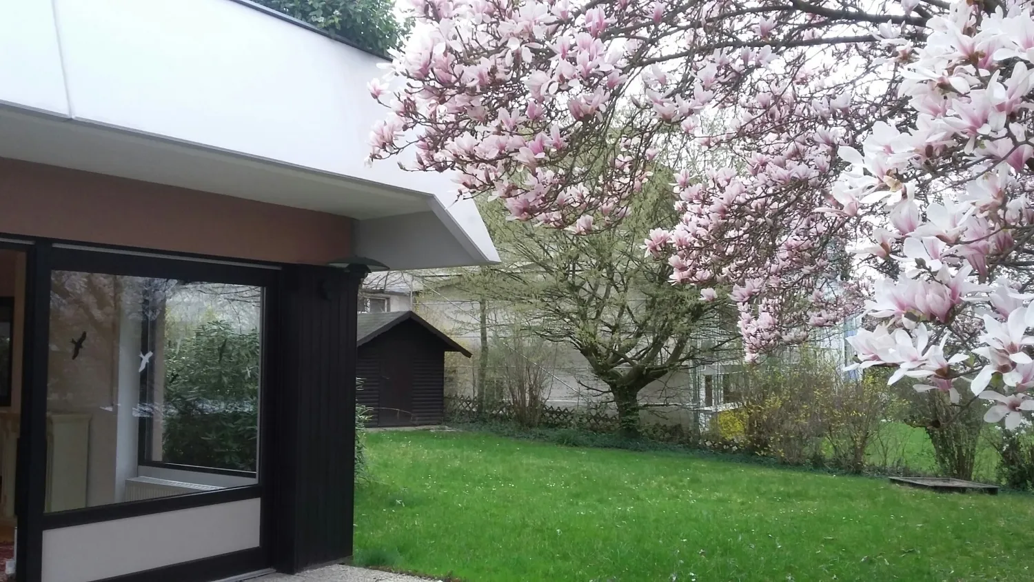 3 Zimmer Wohnung mit 151 m² in Bonn – Bild 6