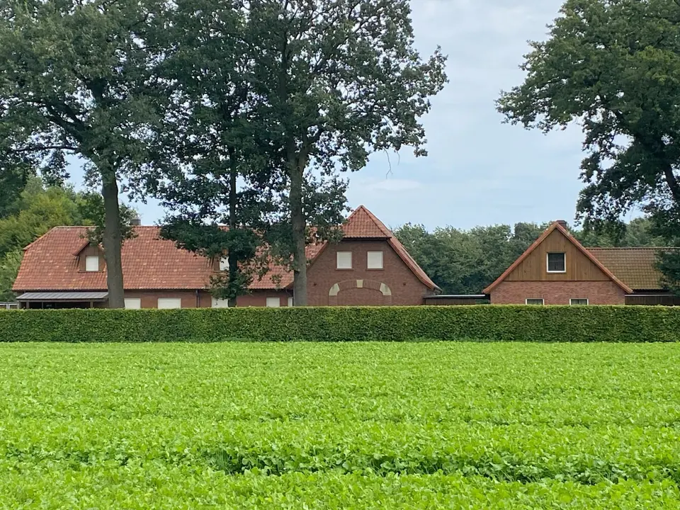 2 Zimmer Wohnung mit 50 m² in Vechta – Bild 10