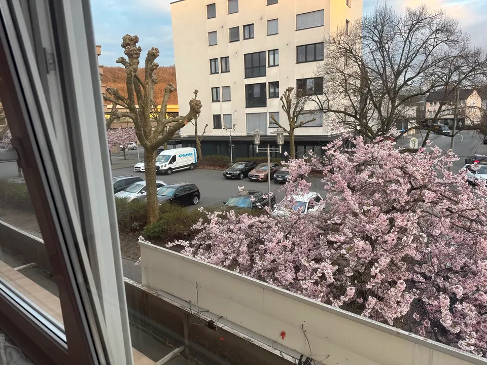 2 Zimmer Wohnung mit 90 m² in Siegen – Bild 10