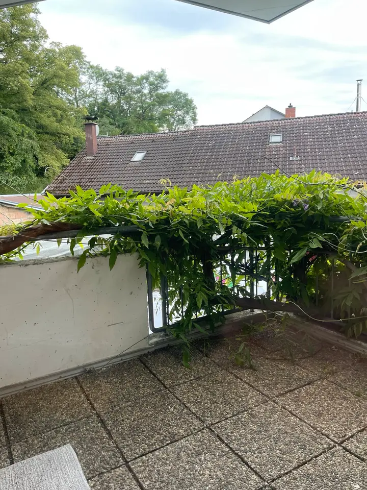 2 Zimmer Wohnung mit 33 m² in Lörrach – Bild 3