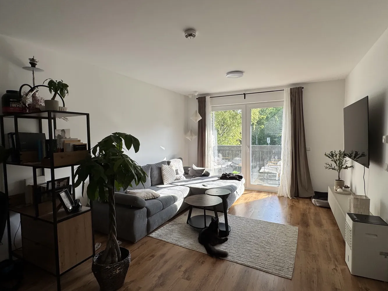 2 Zimmer Wohnung mit 67 m² in Koblenz – Bild 3